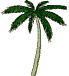 palmtree.gif (15341 bytes)